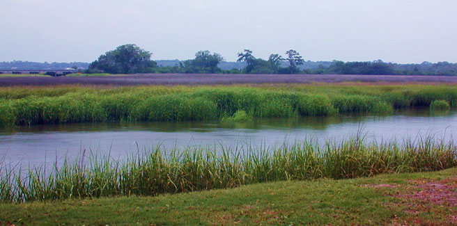 The River Preserve at Ebo Landing